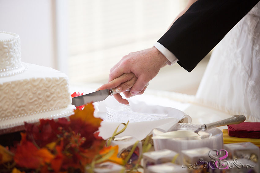 52-closeup-of-hands-cutting-cake-indiana-wedding-photographer