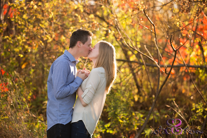 country chic fall engagement grand rapids michigan