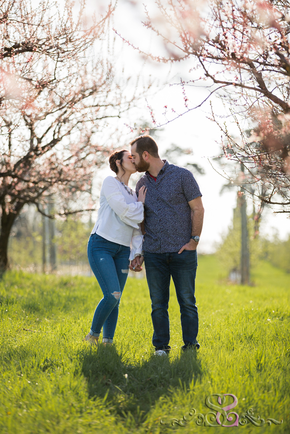 spring engagement at robinettes