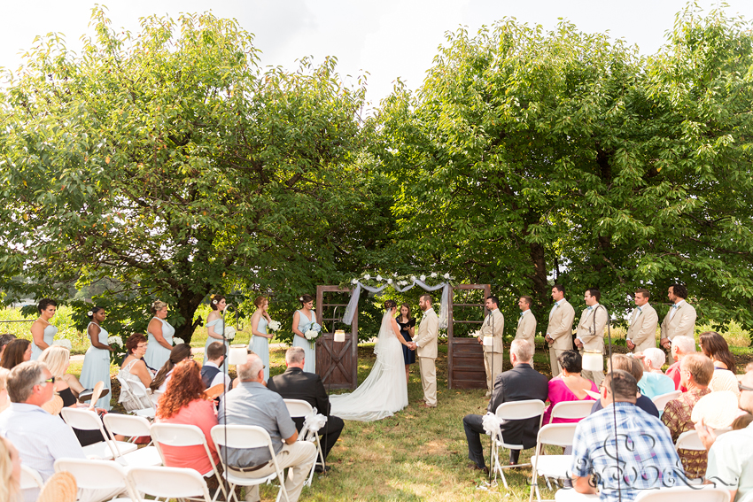 Robinette's Apple Haus Summer Wedding