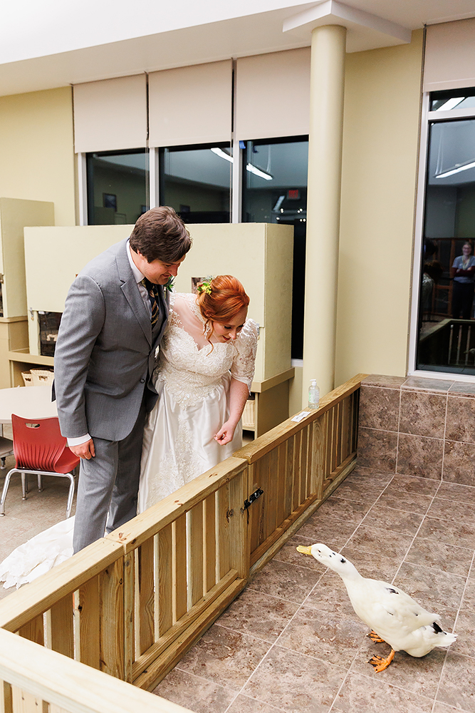 bright fall wedding at the zoo